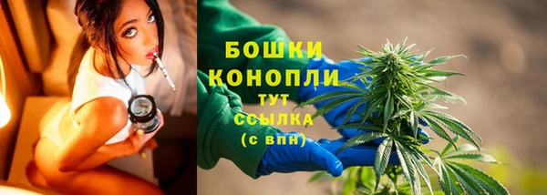 трава Новозыбков