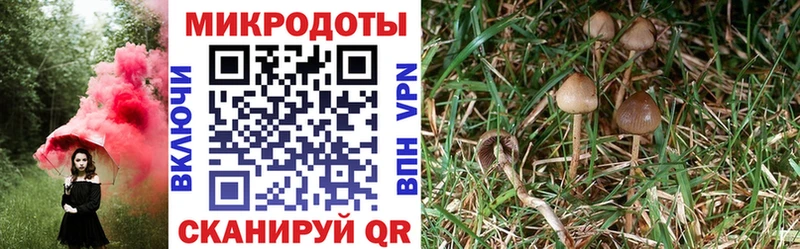 MEGA как войти  Псков  Галлюциногенные грибы GOLDEN TEACHER 
